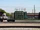 dsc00003.jpg